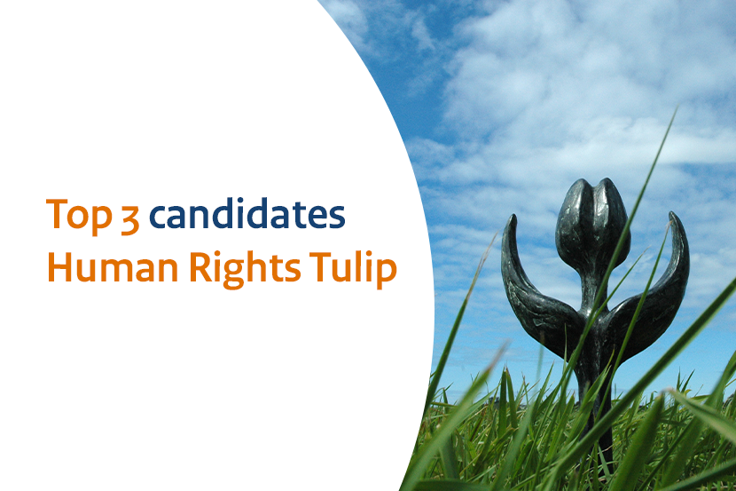 Top 3 candidates Human Rights Tulip